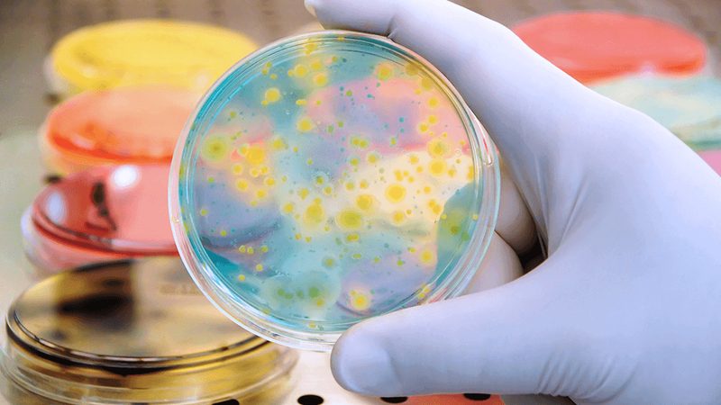 生物制品与化学药品：安全性的多维考量**