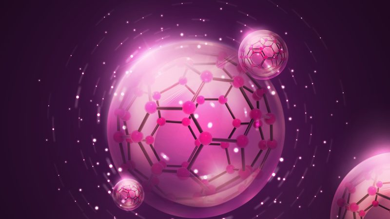 PCR检测技术：操作步骤全解析