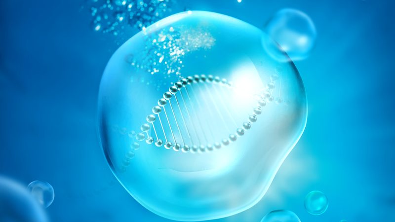 细胞培养试剂盒：揭秘选择背后的科学逻辑