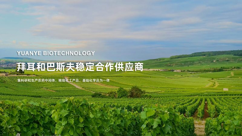 实验室耗材生产厂家直销哪家好