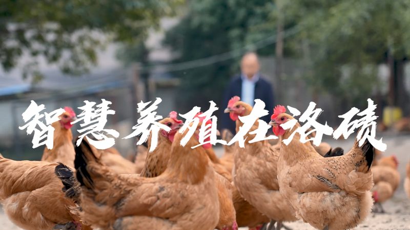 洁净室净化等级：上海生物医药行业的标准解读**