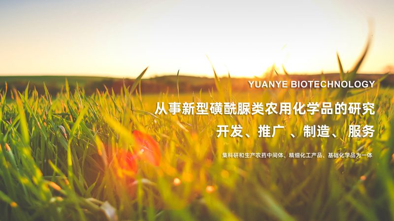 离心管离心力，如何选择最适合你的？**