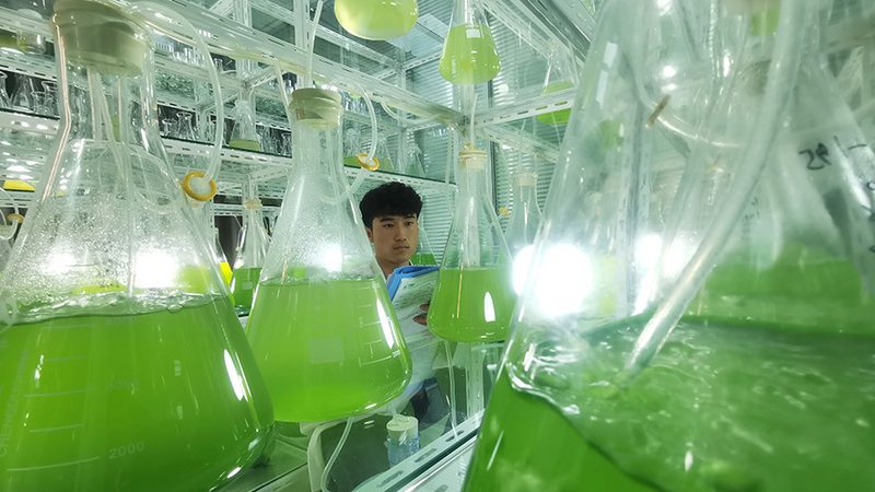 生物制品冷链运输规范要求
